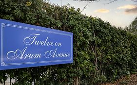 Twelve On Arum